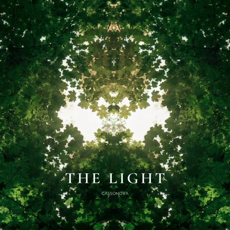 The Light cover art